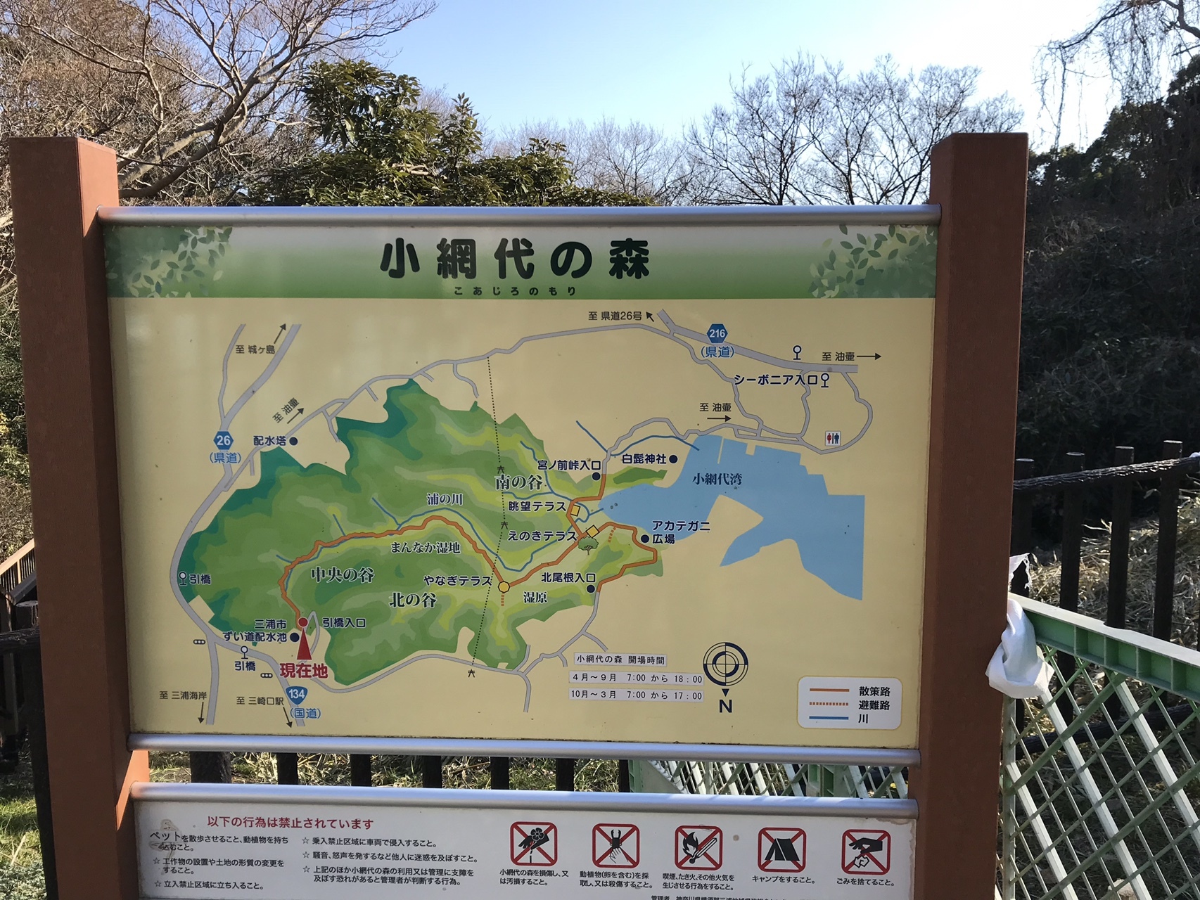 岩堂山と小網代の森 しろくろさんの三浦市 関東ふれあいの道 三浦 岩礁のみち 油壺 入江のみち 荒崎 潮騒のみち 小網代の森 の活動データ Yamap ヤマップ