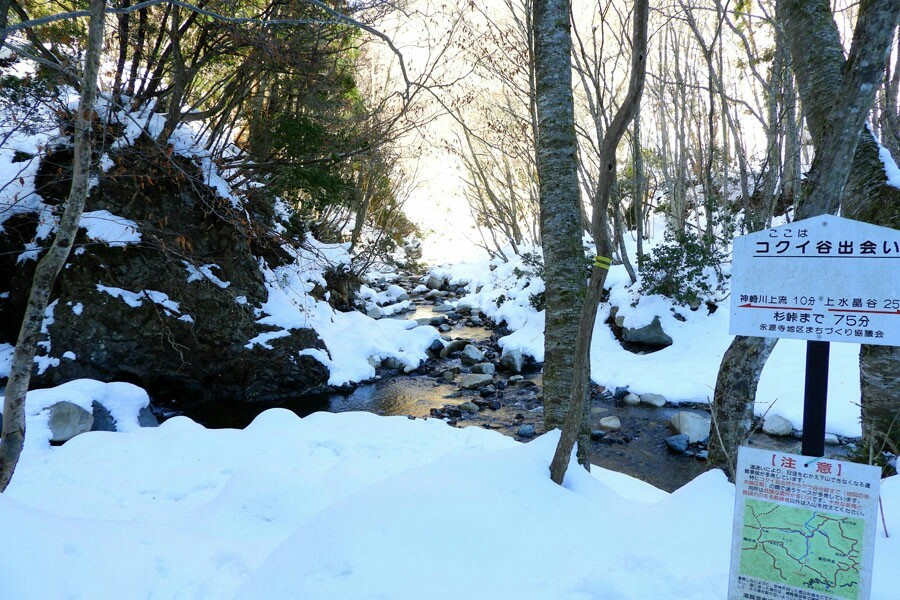 朝明 東雨乞岳 楓天さんの御在所岳 御在所山 雨乞岳の活動日記 Yamap ヤマップ