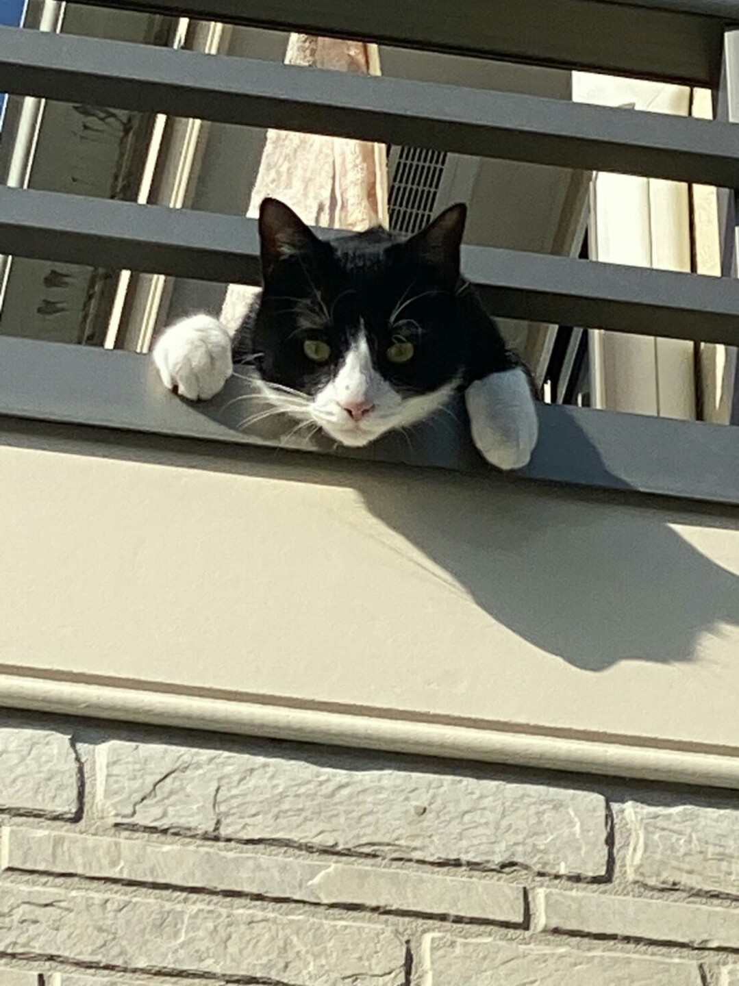 リンダリンダのページ YAMAP / ヤマップ