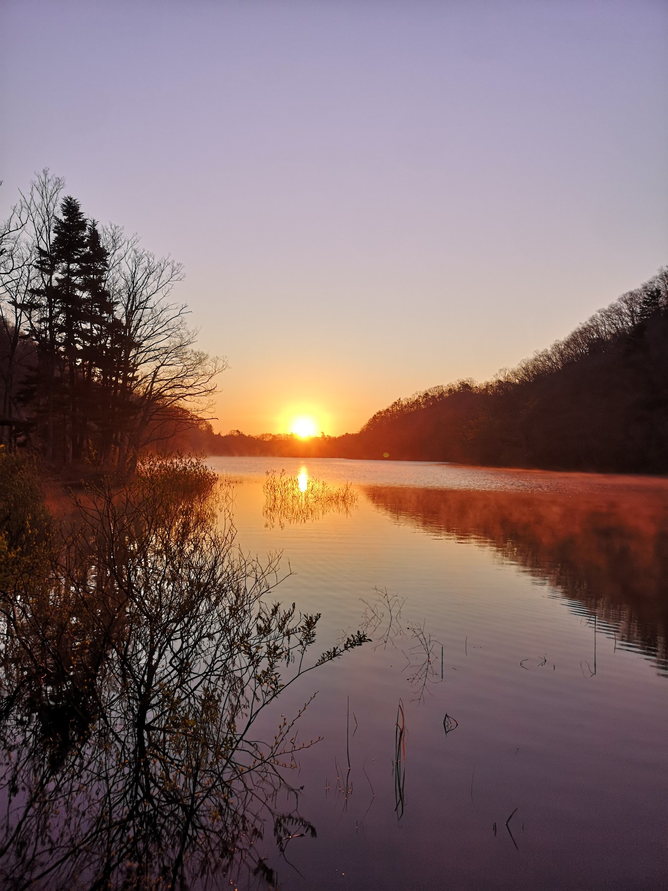 4月26日 サイカチ沼 白沢五山 やまぴさんの白沢五山 五ツ森 の活動日記 Yamap ヤマップ