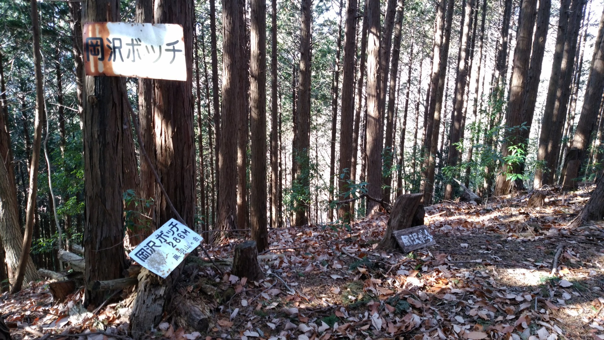 御亭山 こてやさん へ U Dさんの萬蔵山の活動日記 Yamap ヤマップ