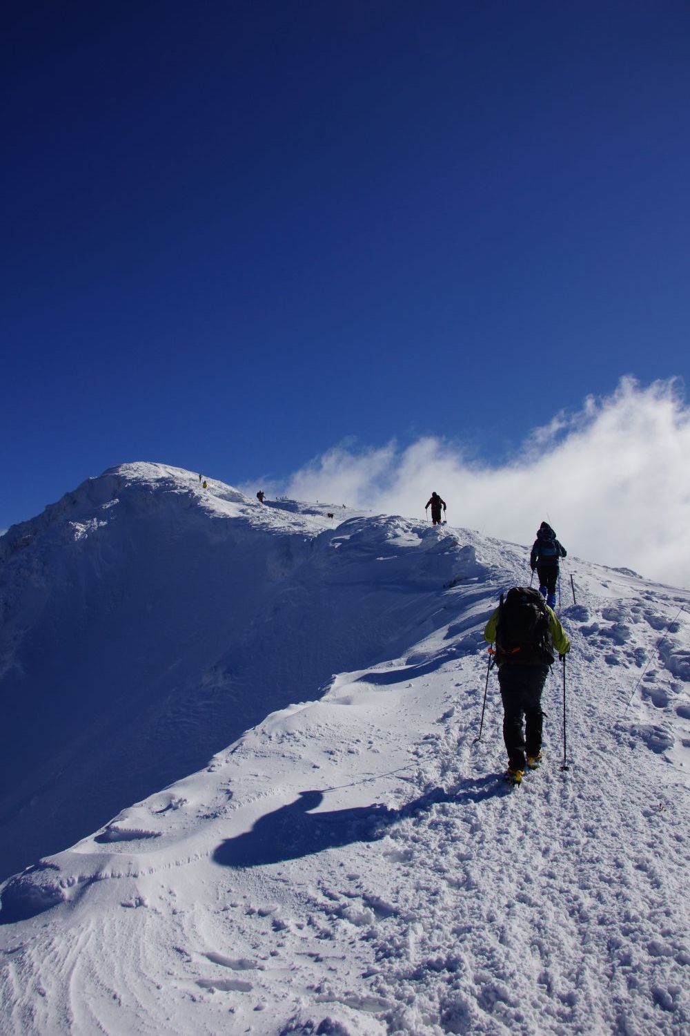 ついに出会えた雪山大山ブルー 感激 ハマｋｂｔさんの大山 甲ヶ山 野田ヶ山の活動データ Yamap ヤマップ