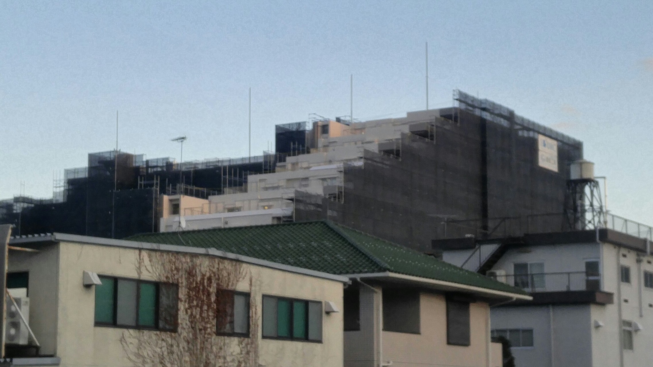 だらけきったボディに喝 高尾山 もう一回行ってくる 今度は走れ ぽいっさんの高尾山 陣馬山 景信山の活動日記 Yamap ヤマップ