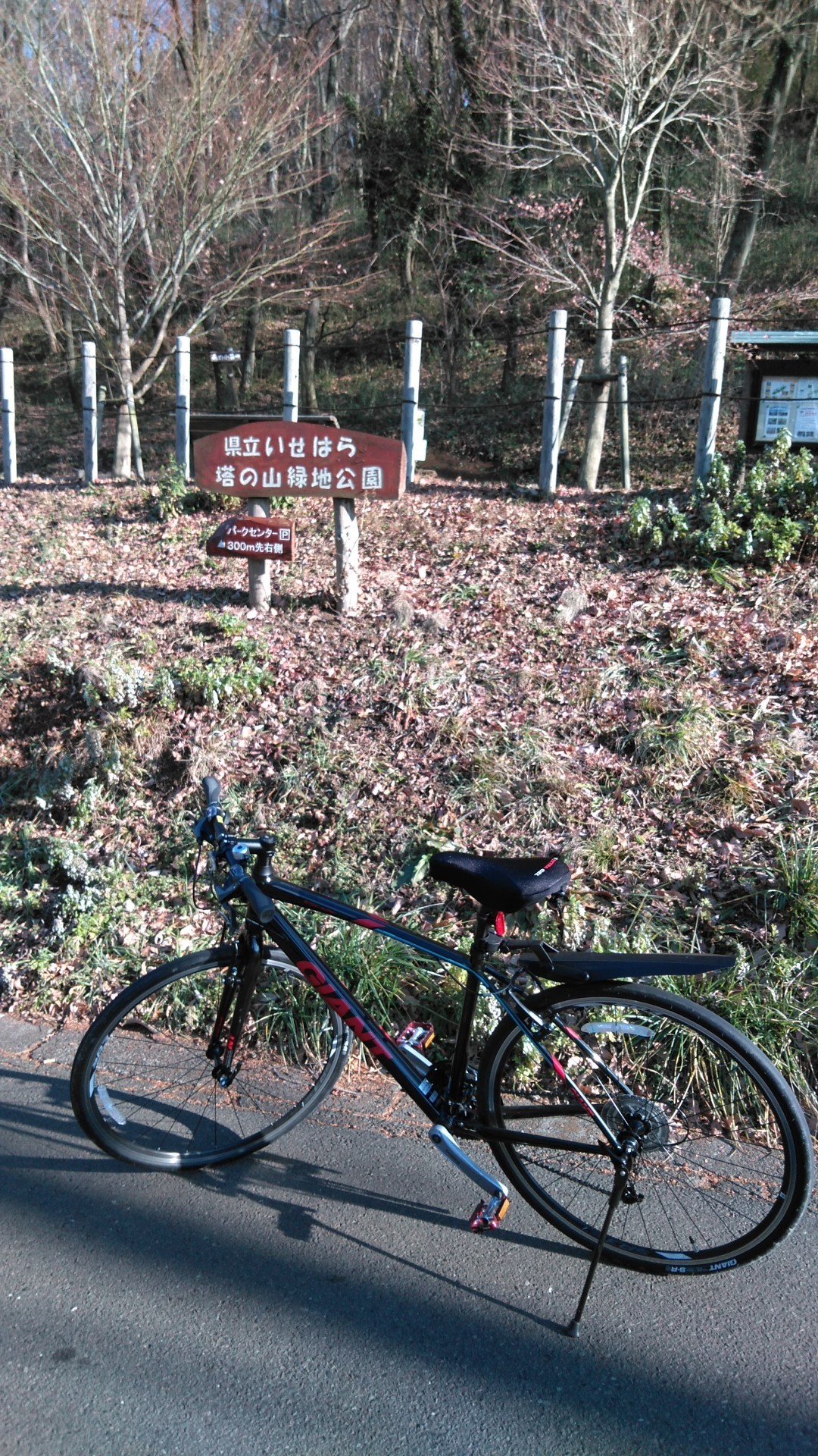 塔の山公園とカインズホーム / 登山口 かおりさんの大山の活動日記 