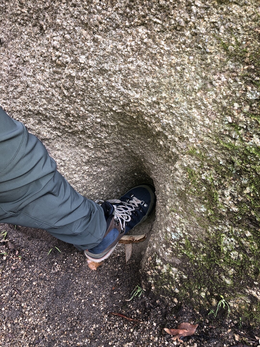 キャンプ 登山 倉橋火山 そうそうさんの火山 倉橋島 岳浦山の活動日記 Yamap ヤマップ