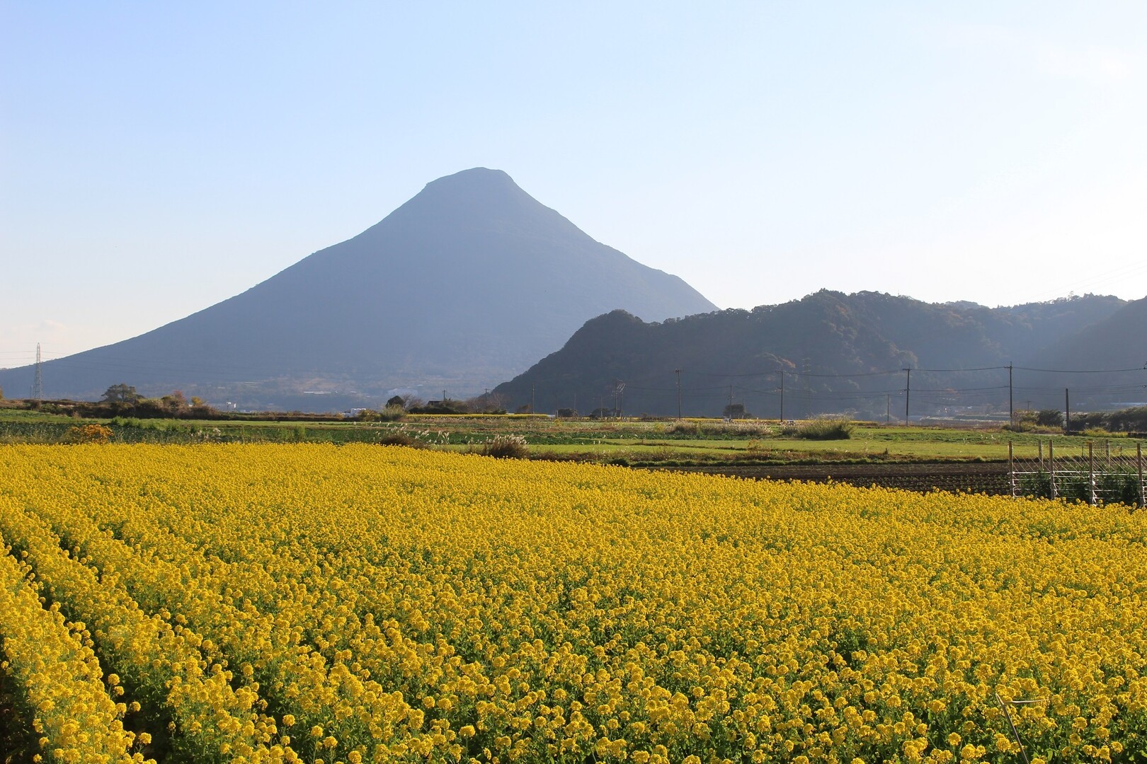 菜の花時期の開聞岳 Nobonakaさんの開聞岳の活動データ Yamap ヤマップ