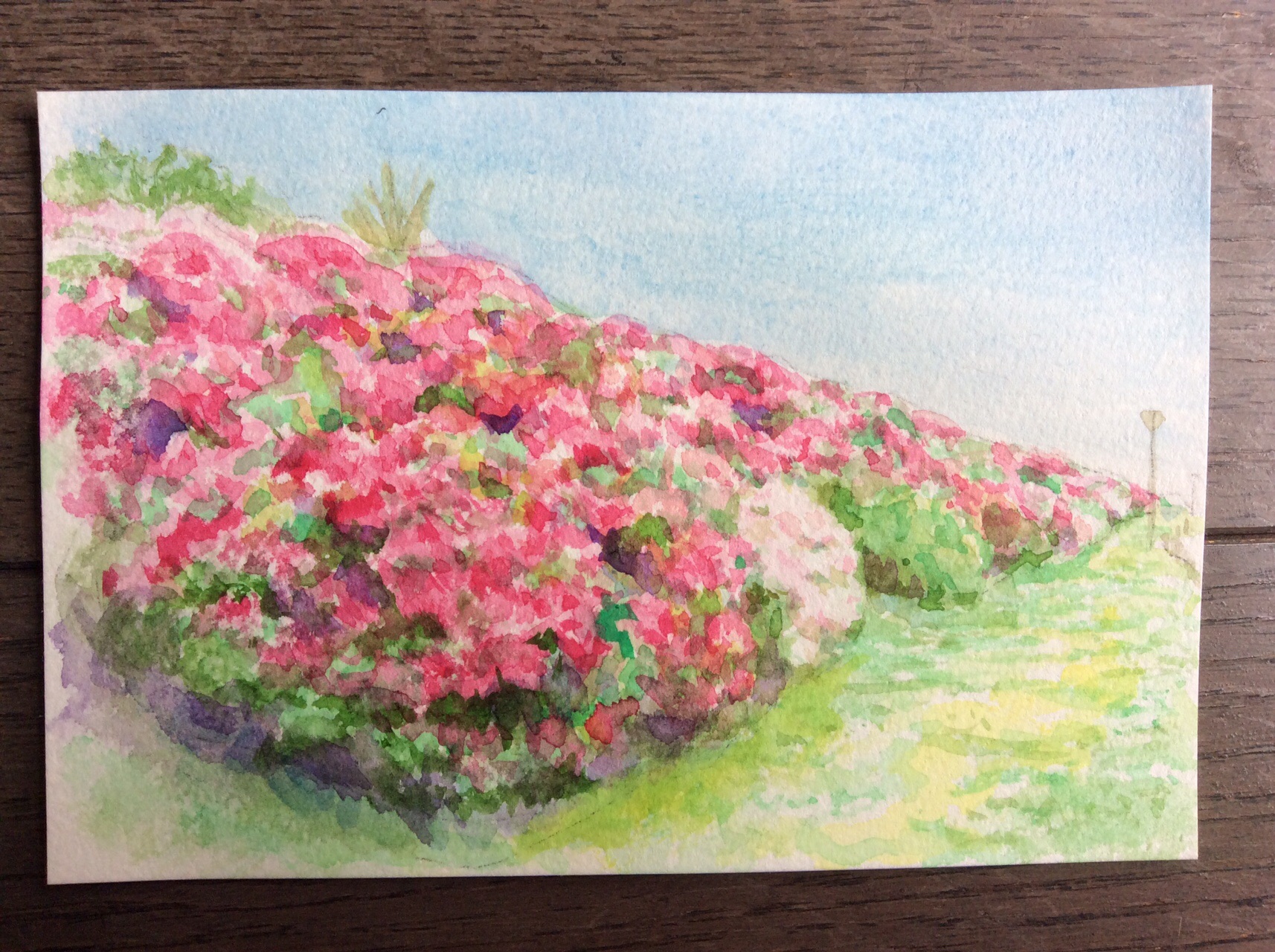 早朝散歩2 浅香山浄水場 堺市 05 02 Kazz309さんの堺市の活動データ Yamap ヤマップ