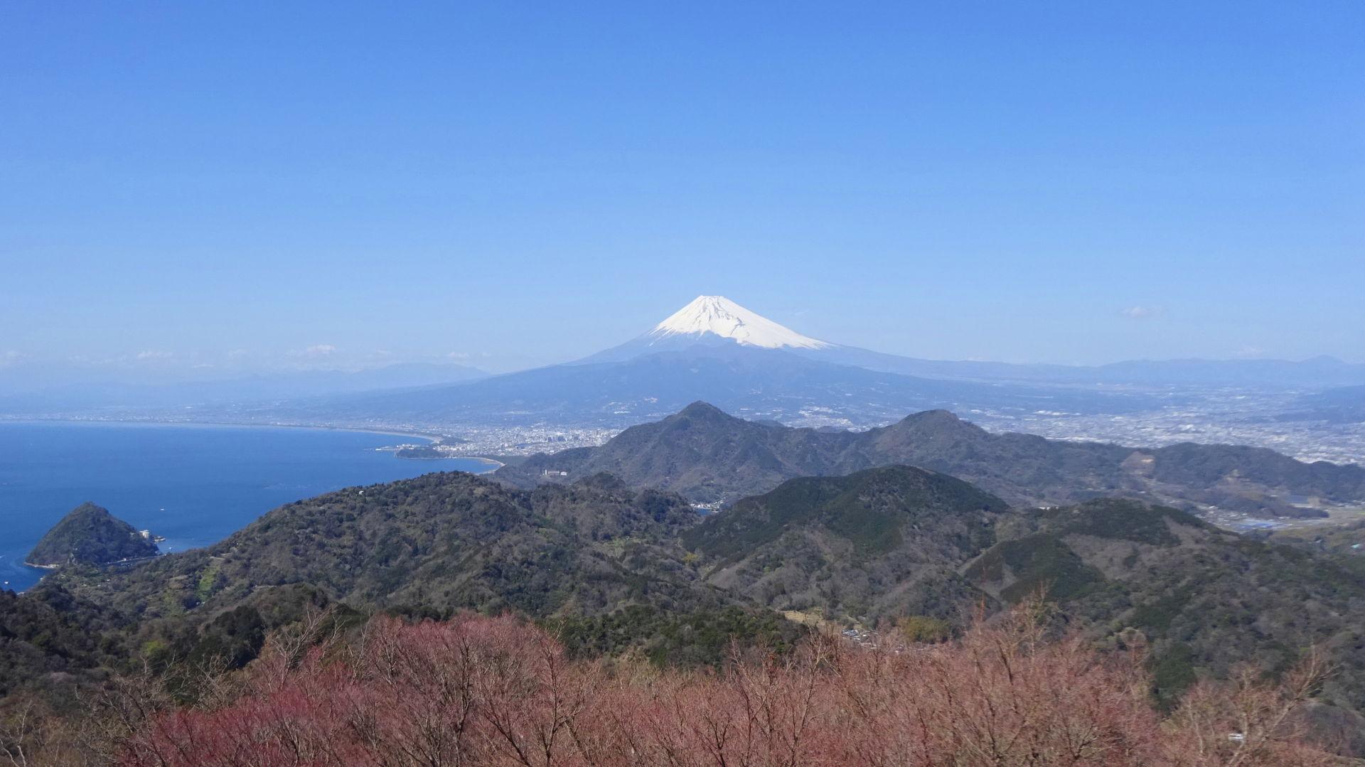 大仁駅から城山・葛城山・発端丈山と巡り長浜バス停へ / yamayuki76さんの金冠山・達磨山・葛城山の活動データ YAMAP / ヤマップ