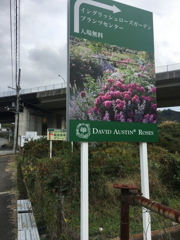 雨山 泉南市 阪南市 高山 愛宕山 泉南市 里山はやはり大変 Wildyukkyさんの紀泉アルプス 飯盛山 ボンデン山の活動日記 Yamap ヤマップ