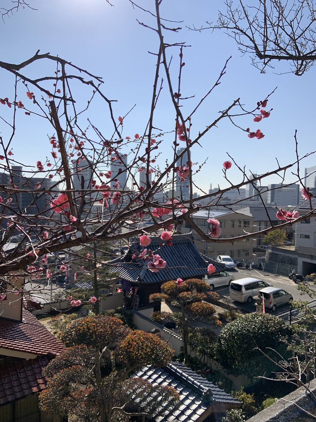 二葉の里歴史の散歩道 七福神めぐり くっすんさんの牛田山 尾長山 二葉山の活動日記 Yamap ヤマップ