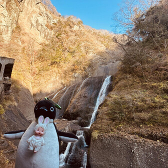 有料エリアへ行くまでもないので