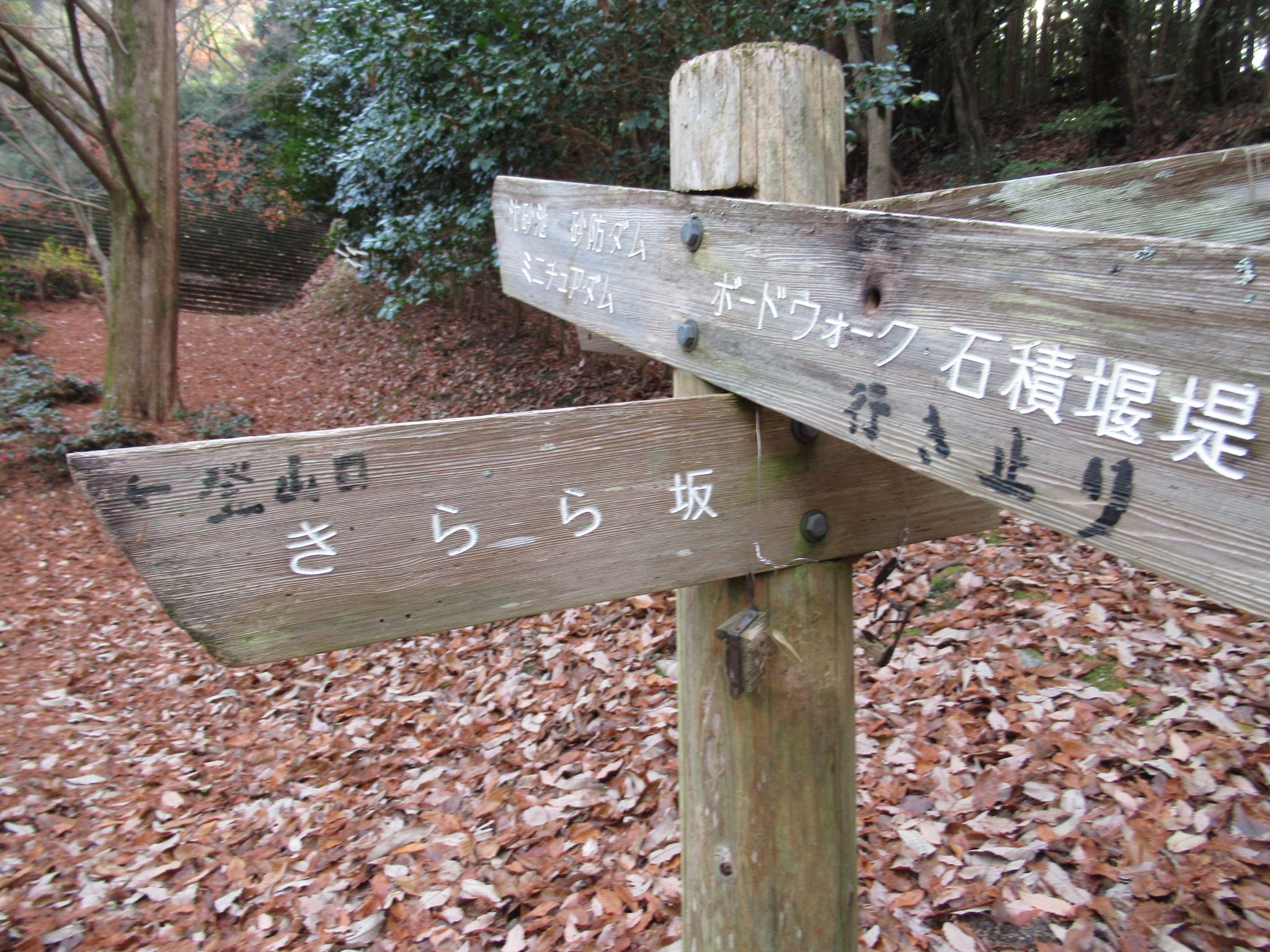 比叡山 雲母坂 きららざか 登山口 わんだふるさんの比叡山 横高山 大尾山の活動データ Yamap ヤマップ