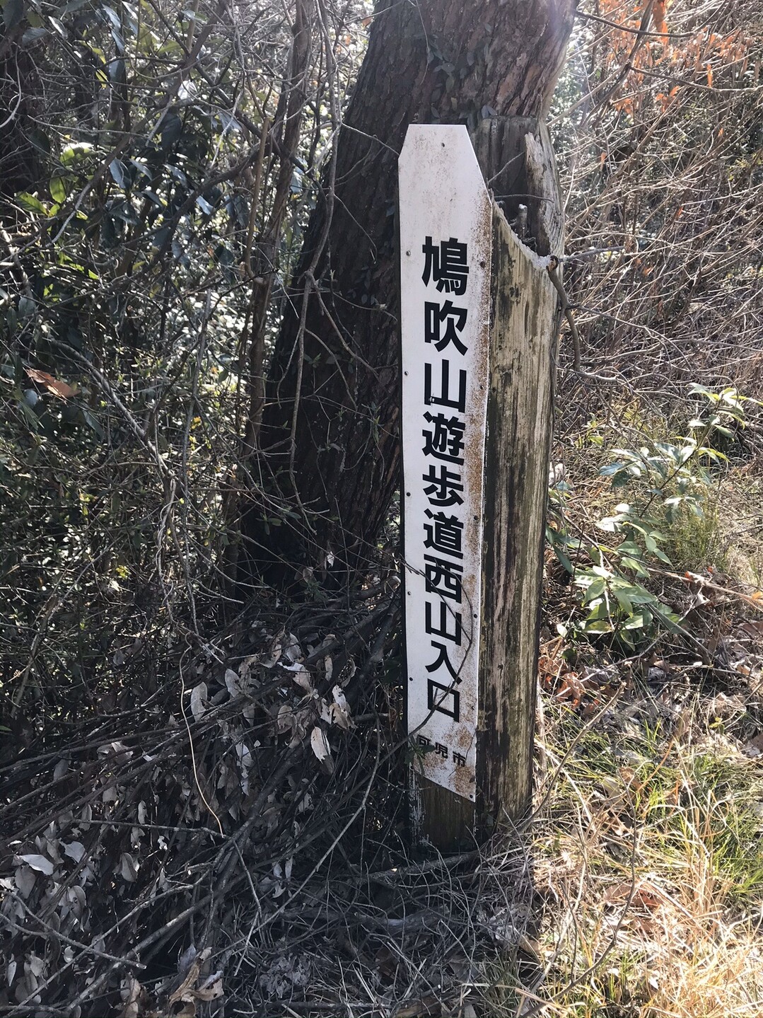 鳩吹山20200319 / クロインさんの鳩吹山の活動データ YAMAP / ヤマップ