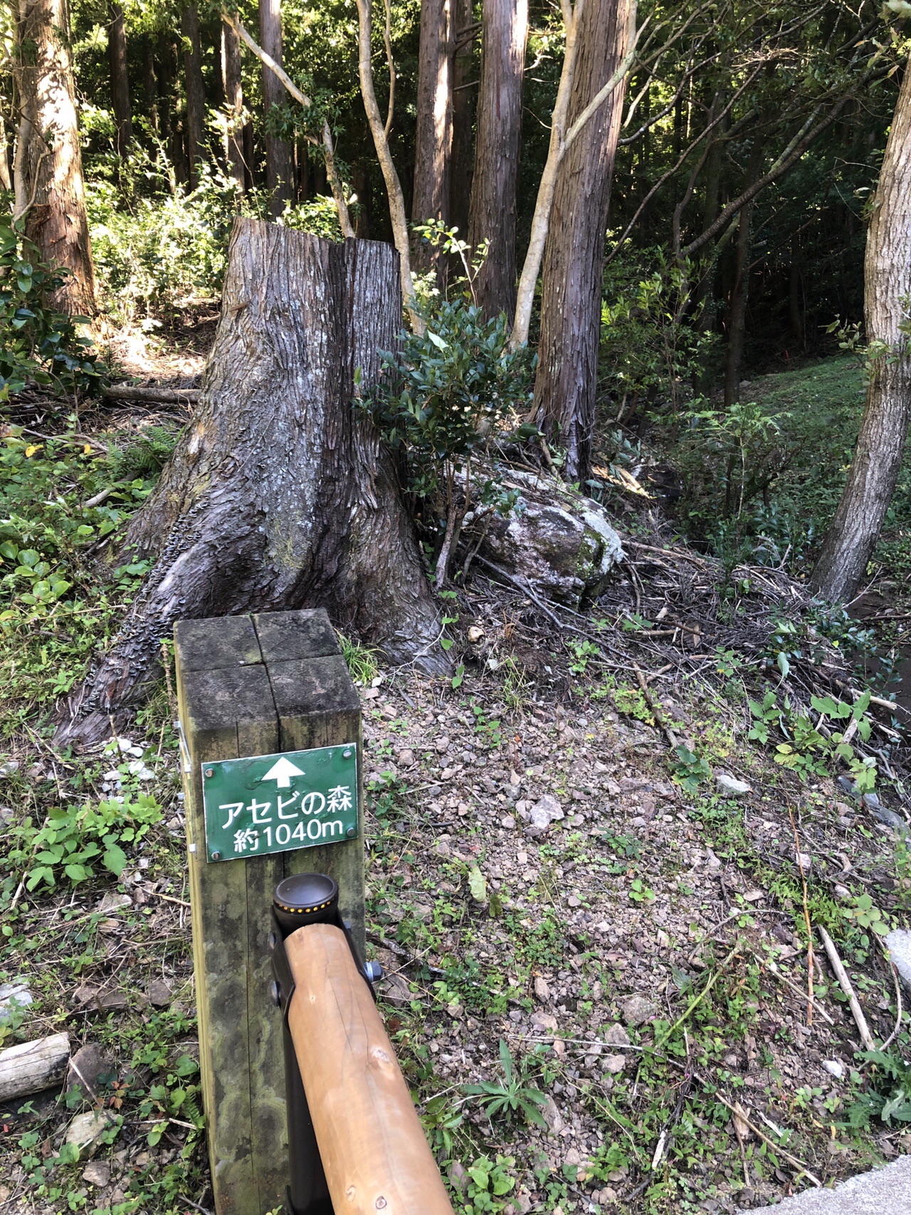甫喜ヶ峰森林公園 19 10 13 オリーブさんの甫喜ヶ峰森林公園の活動データ Yamap ヤマップ
