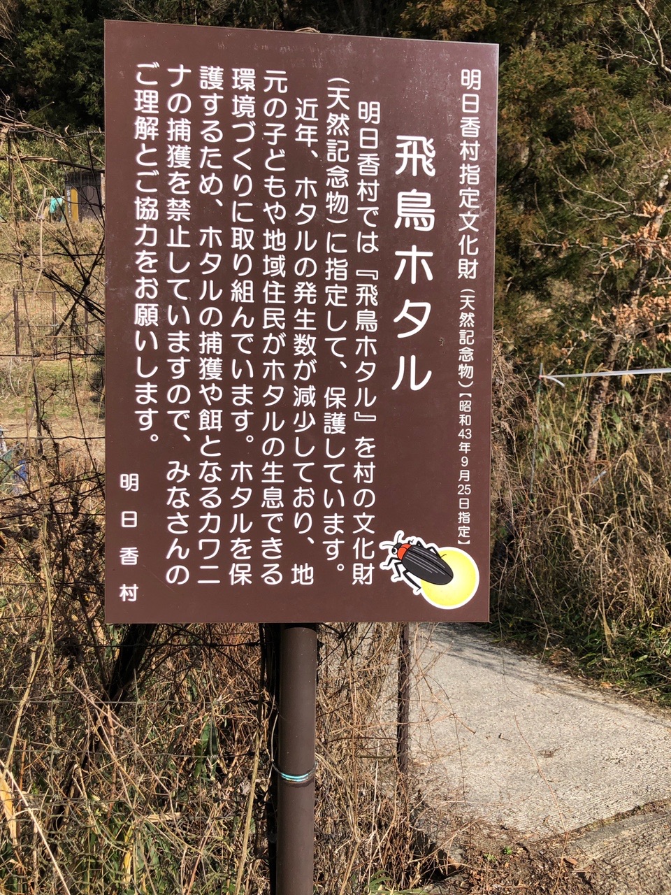 高取山 蛍の時期に来よう