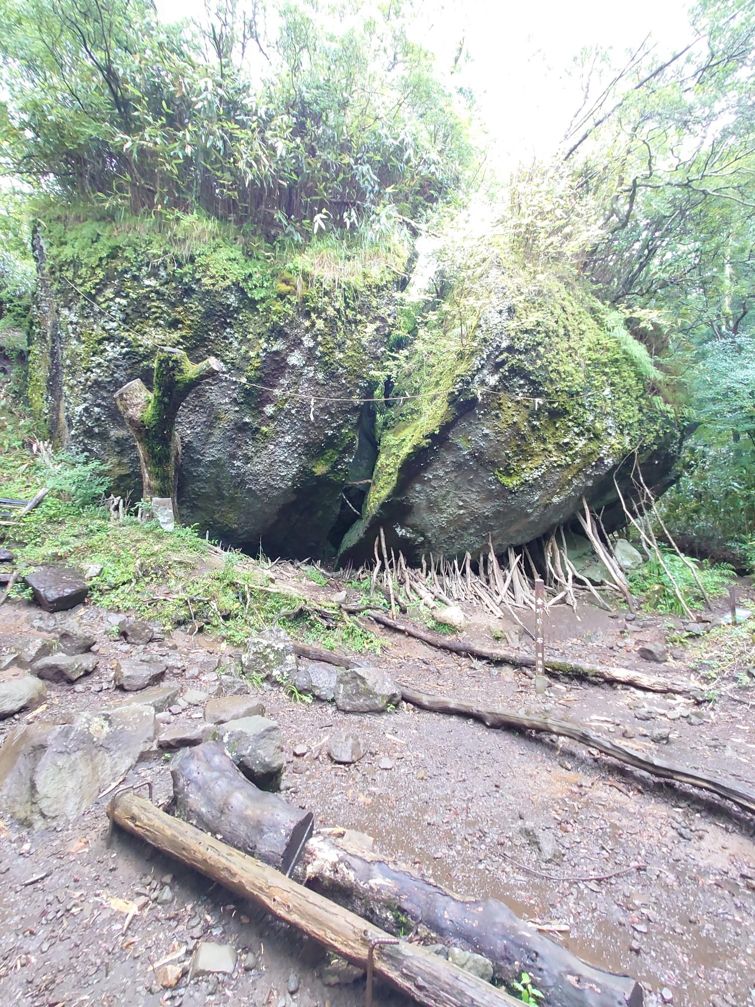 雨の中、のんびりゆっくり金時山・長尾山・乙女峠 / やまやまやまさんの箱根山・神山の活動データ YAMAP / ヤマップ