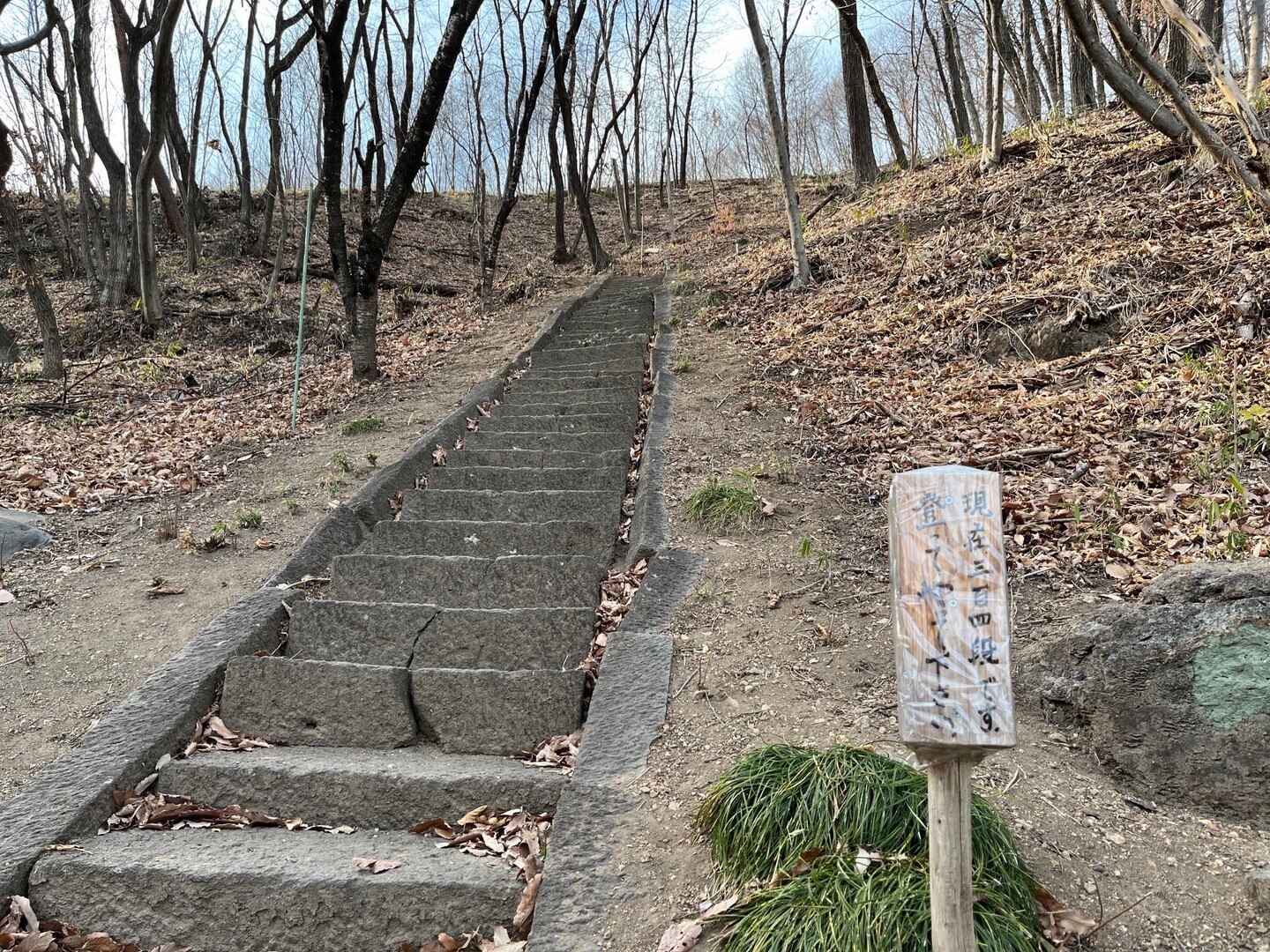 🎉70日目\(^o^)／鹿田山20230314 / 鹿田山の写真1枚目 YAMAP / ヤマップ