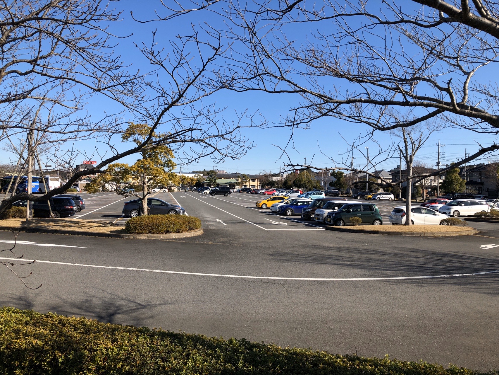 成田山参拝の参考にしてください なべさんの成田市の活動日記 Yamap ヤマップ