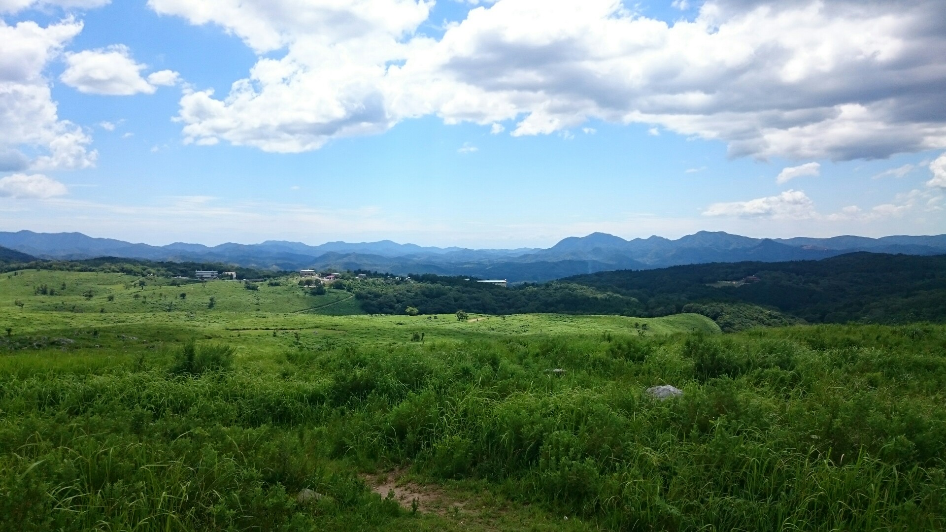 秋吉台トレッキング カルスト展望コース 19 08 13 Jemさんの秋吉台の活動日記 Yamap ヤマップ