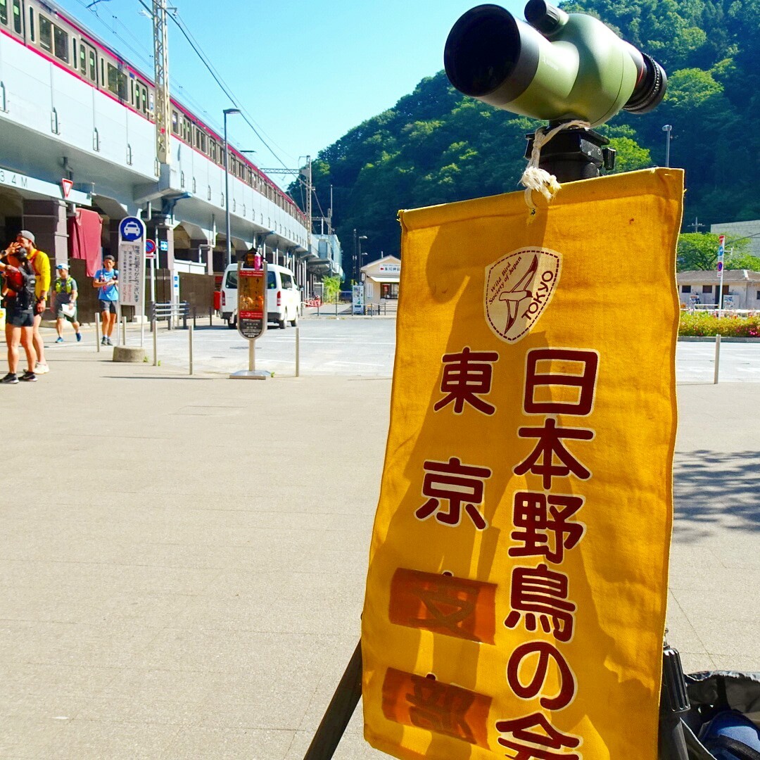 高尾山探鳥会 店員佐藤さんの高尾山 陣馬山 景信山の活動日記 Yamap ヤマップ