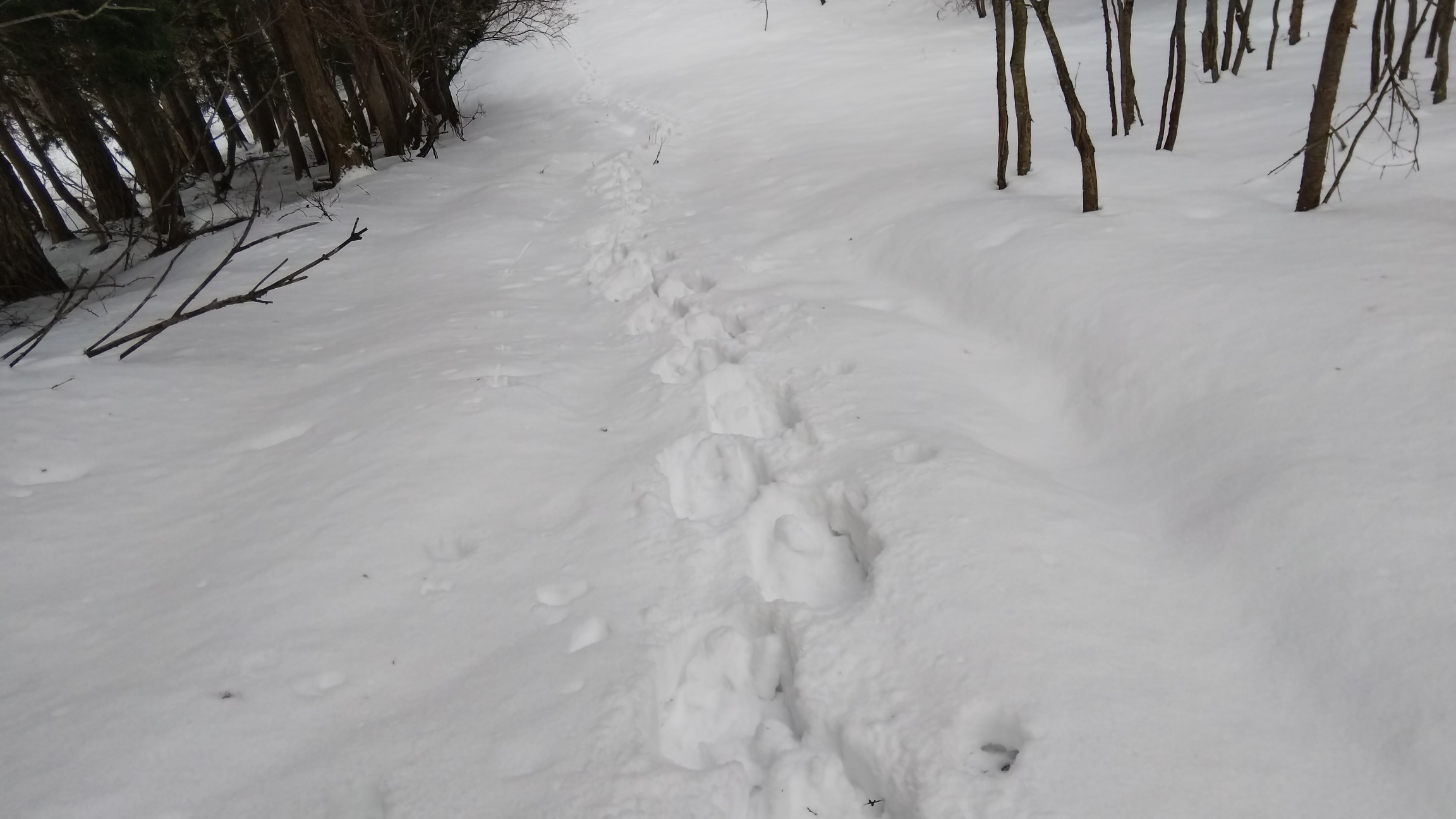 気持ち良いけど疲れます😣💦⤵️