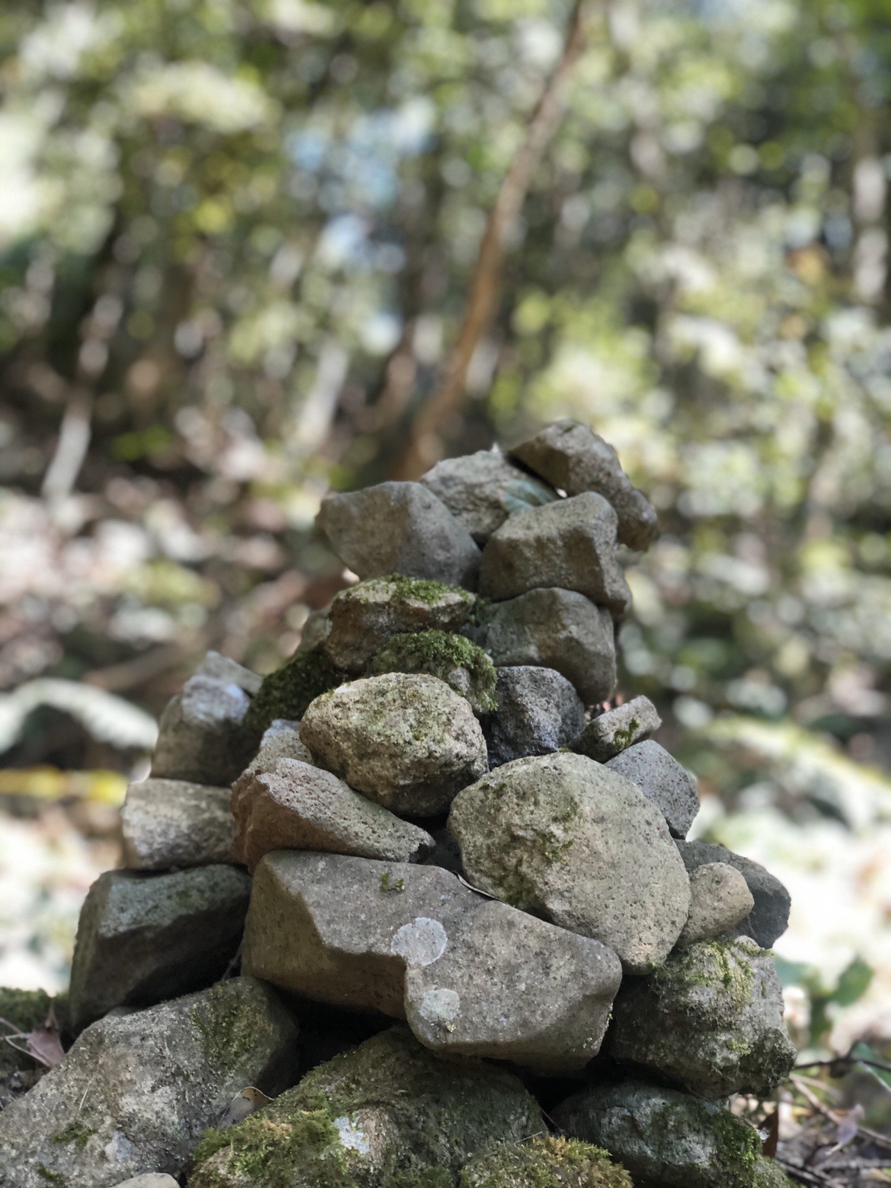 冠岳 鹿児島県いちき串木野市 04 30 るいさんの冠岳 鹿児島県いちき串木野市 の活動日記 Yamap ヤマップ