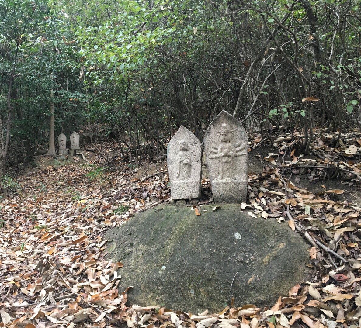 やっと見つけた黒山城跡 防空監視哨 聴音壕 倉敷エリア 19 11 24 倉敷市 倉敷エリア の写真4枚目 石仏が１０個以上ありました 城跡の盛り土 Yamap ヤマップ