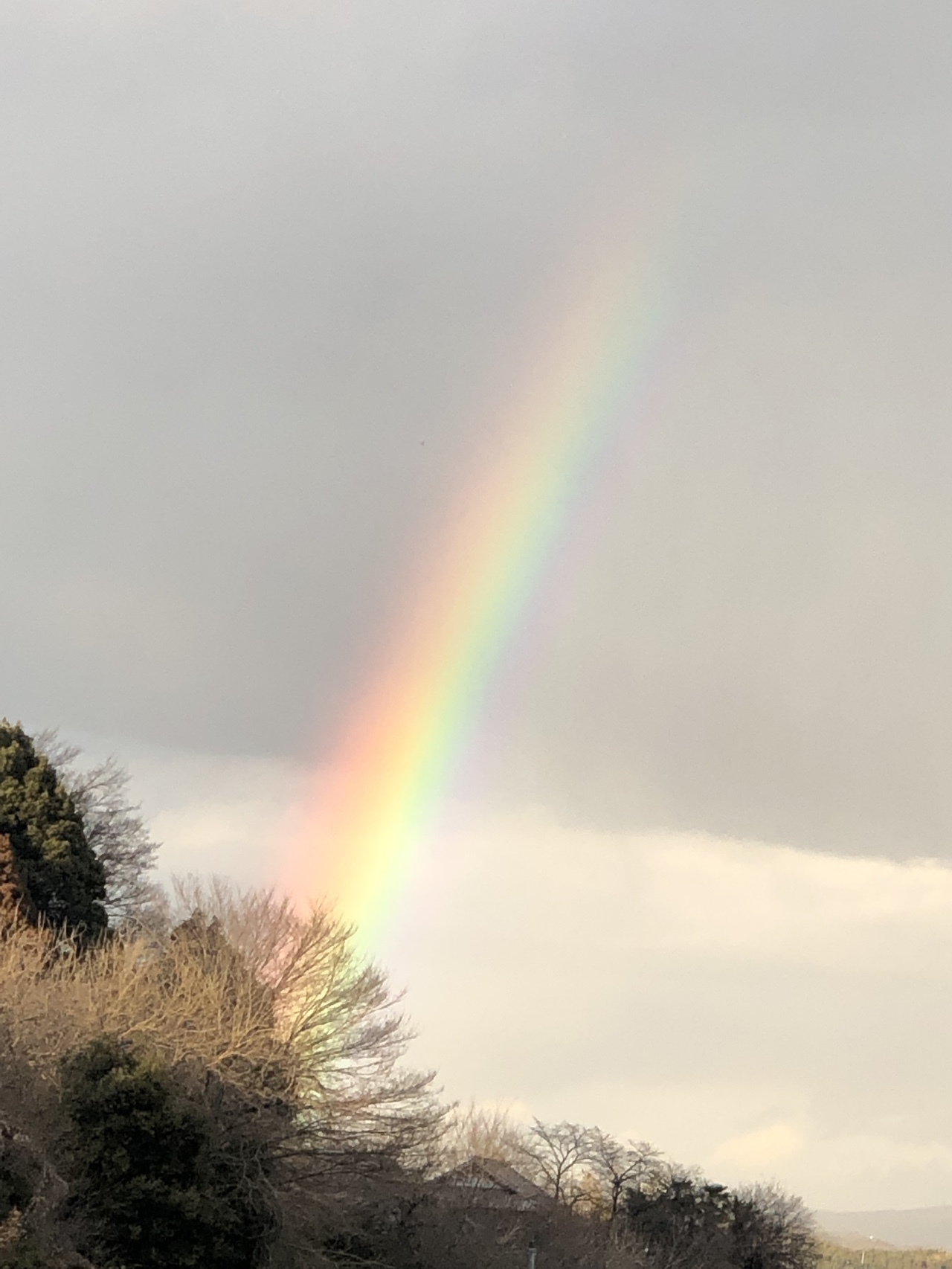 吾妻八景 嵩山 たけやま ヨッシーさんの嵩山の活動データ Yamap ヤマップ