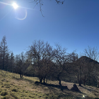 杖立峠へ。
振り返って、高谷山
