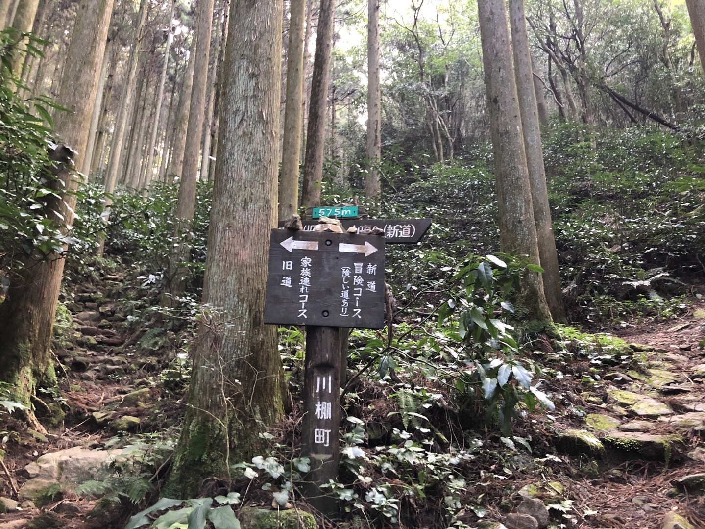晴天の虚空蔵山へ ミーカンさんの虚空蔵山 長崎県川棚町 高見岳の活動日記 Yamap ヤマップ