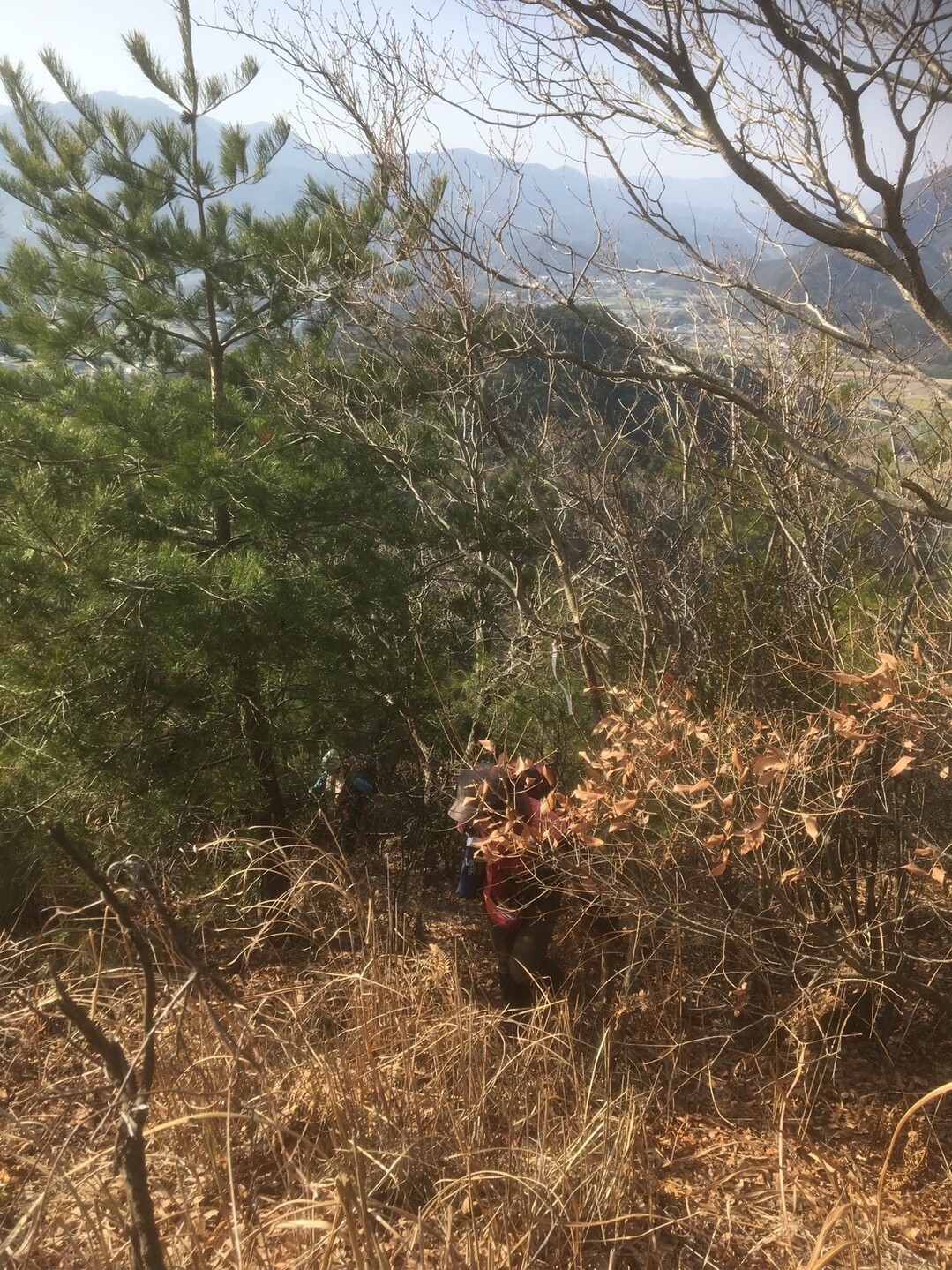 白鳥アルプスを縦走して讃岐石鎚山に登る 桐一葉さんのさぬき市の活動日記 Yamap ヤマップ