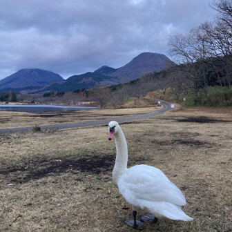 永松　亨