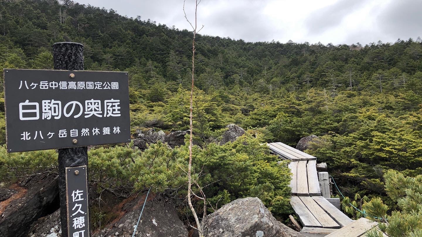 歩き易い、足場がありがたい、白駒池目指します
