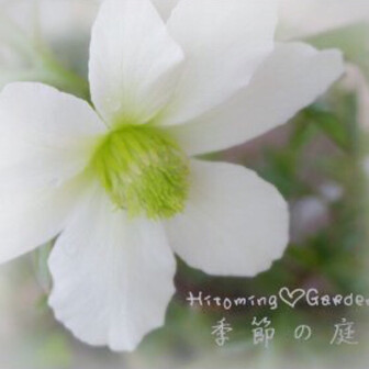 Hitoming♪ -ひとみん♪-