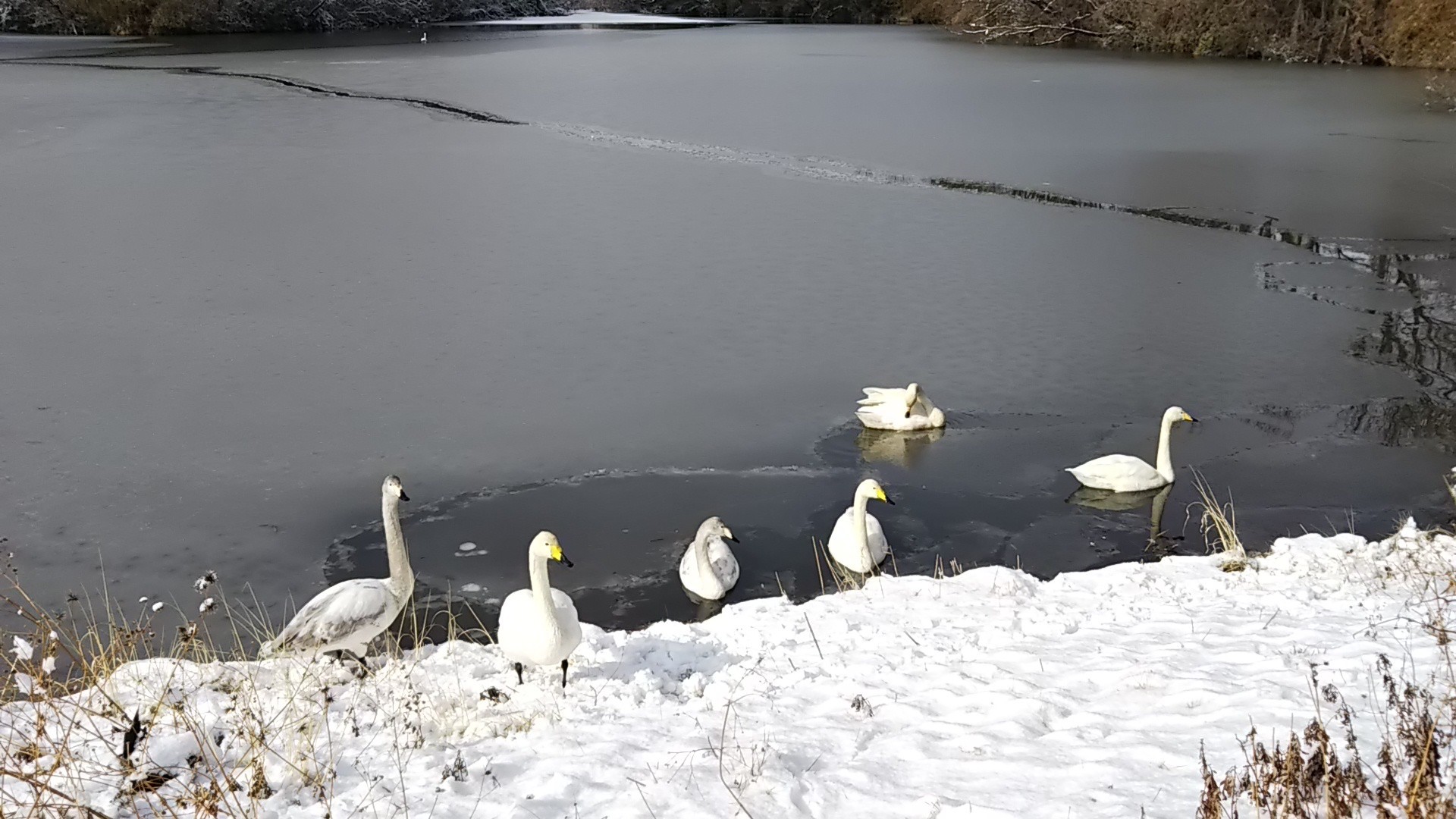 Jr岩切駅から仙台駅へ Goncekさんの仙台市の活動データ Yamap ヤマップ