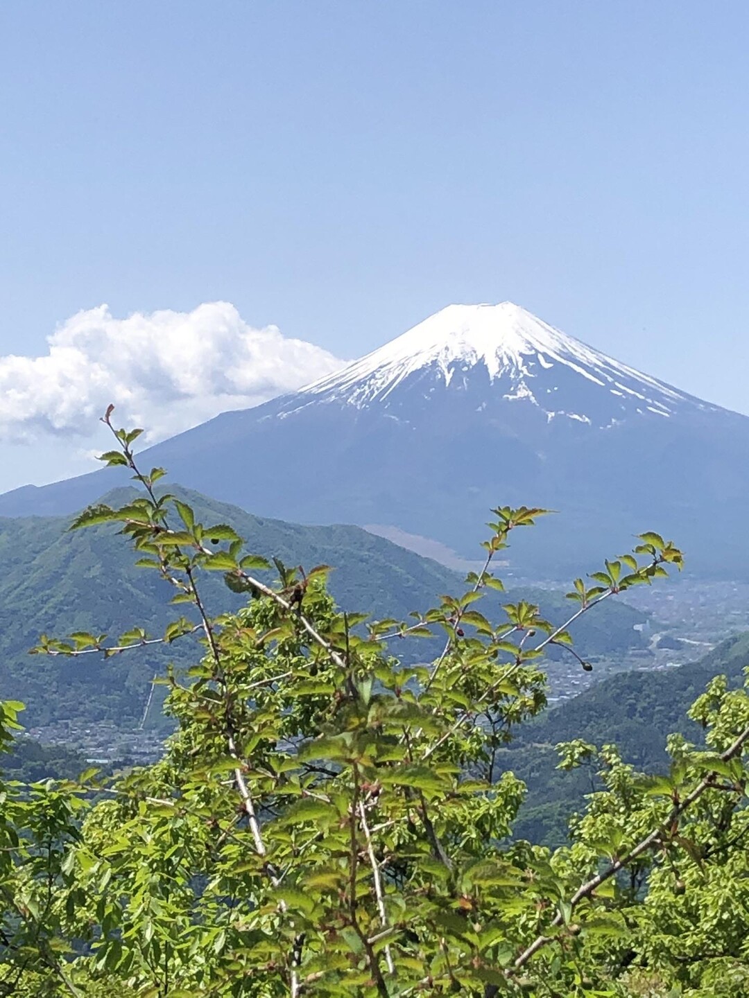 お久し振り高川山 / せっちーさんの高川山の活動データ YAMAP / ヤマップ