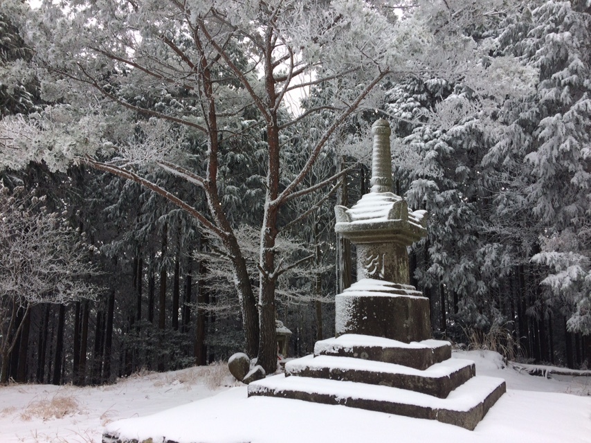 鷲峰山 じゅうぶさん 京都府宇治 ハイライトは行場巡り スゥチーンさんの鷲峰山 釈迦岳の活動データ Yamap ヤマップ