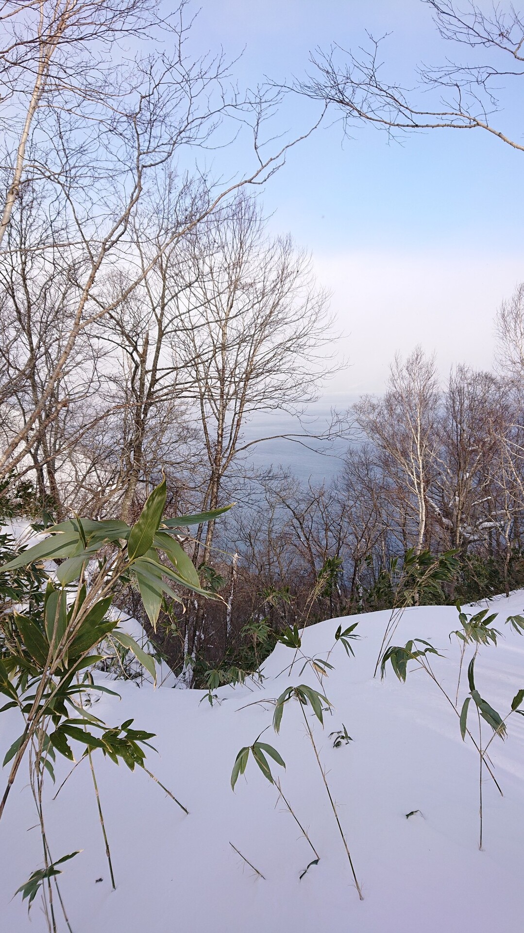 たみねこみね山でgoogle 読み方を知る 樽前山 風不死岳の写真16枚目 Yamap ヤマップ