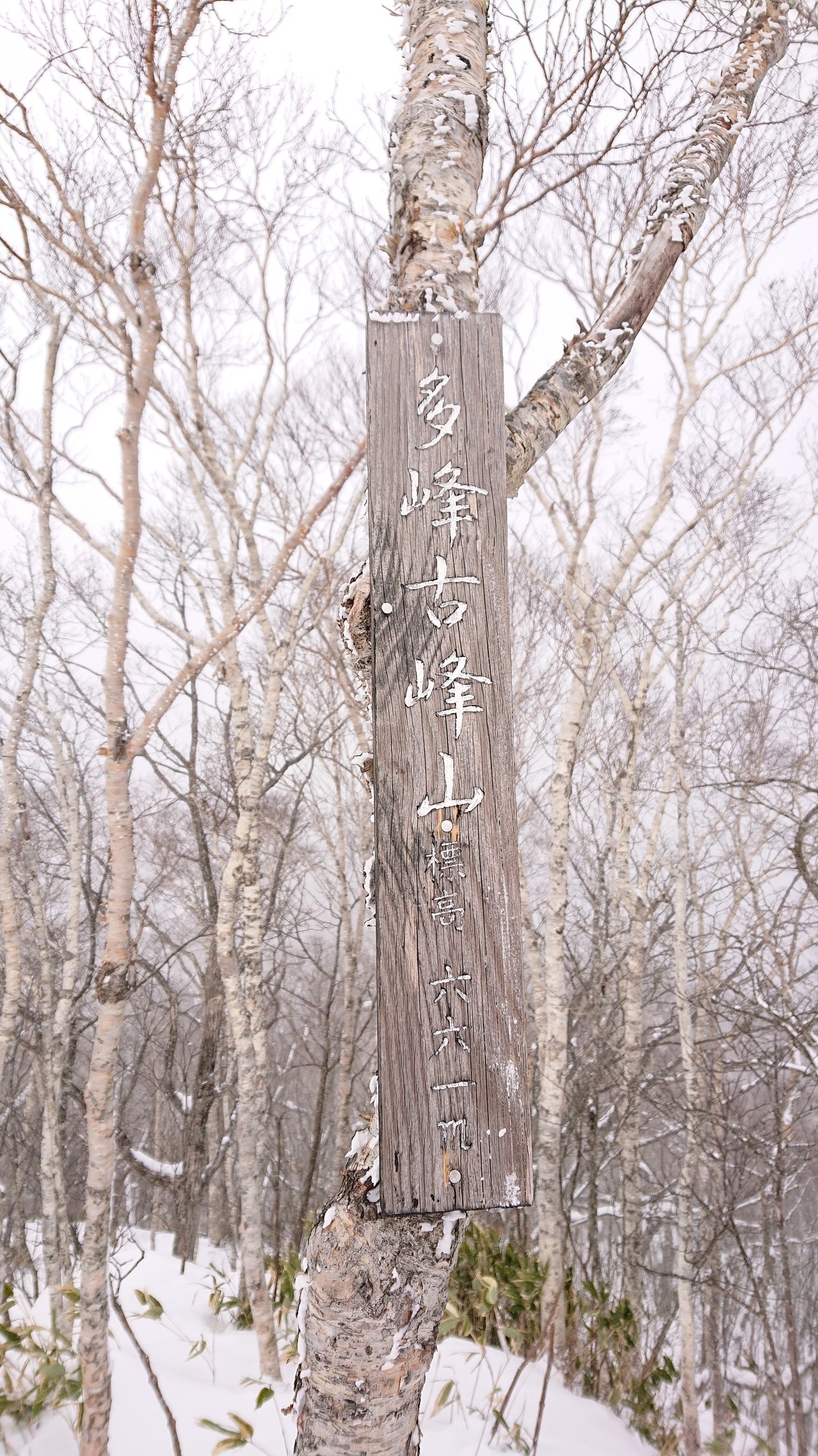 たみねこみね山でgoogle 読み方を知る ふじやんさんの樽前山 風不死岳の活動データ Yamap ヤマップ