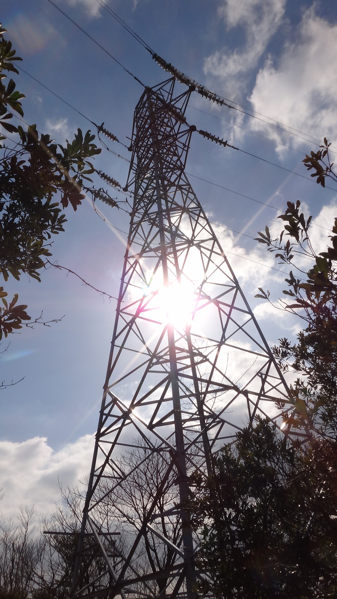 経小屋山の宮浜ルート再整備 廿日市 温泉組合や住民ら観光活用へ