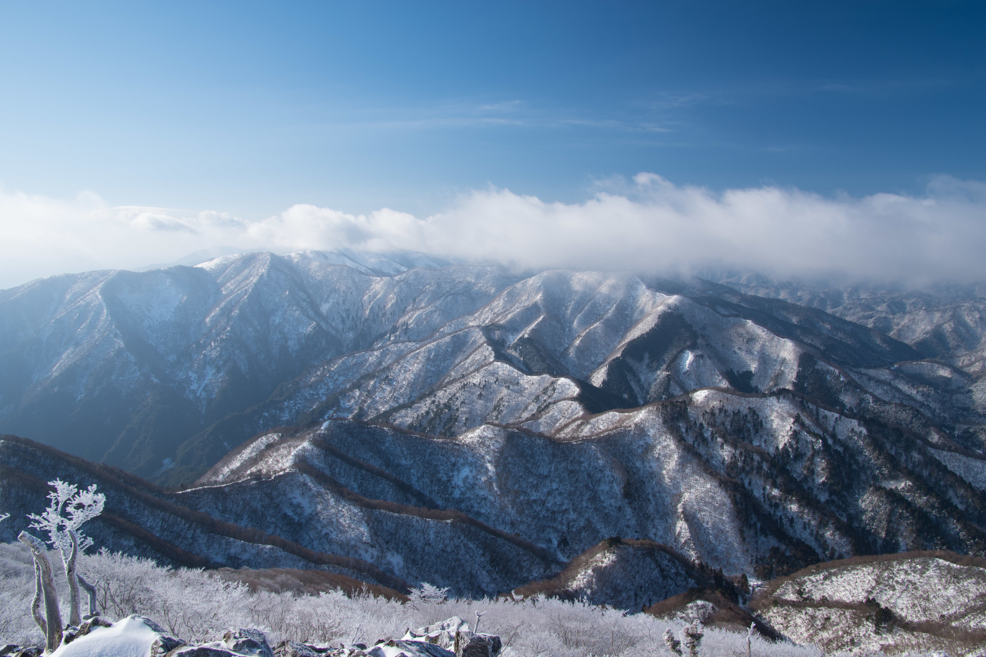 冬の藤原岳 いちさんの藤原岳 御池岳の活動データ Yamap ヤマップ