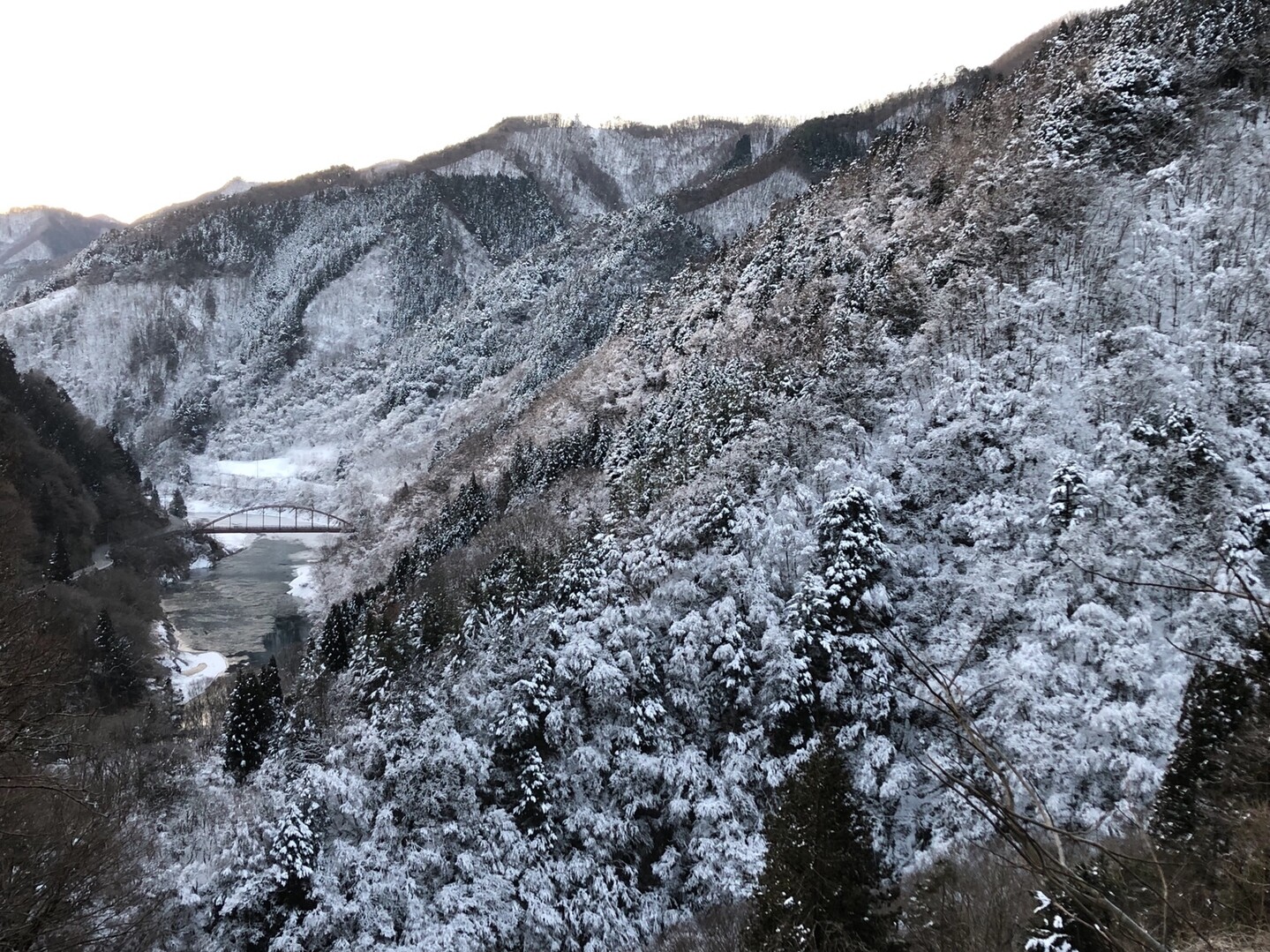 はじめての東京の山 雲取山 Yo4さんの雲取山 鷹ノ巣山 七ツ石山の活動日記 Yamap ヤマップ