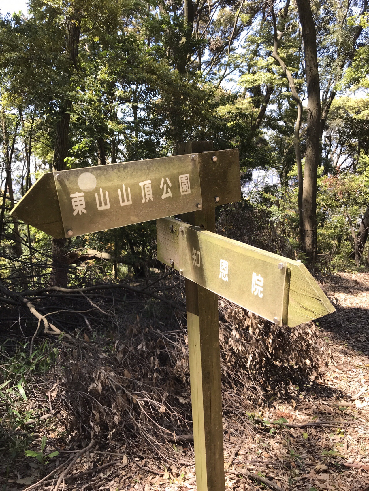 八坂神社から東山山頂へ トラトラトラさんの京都市の活動日記 Yamap ヤマップ