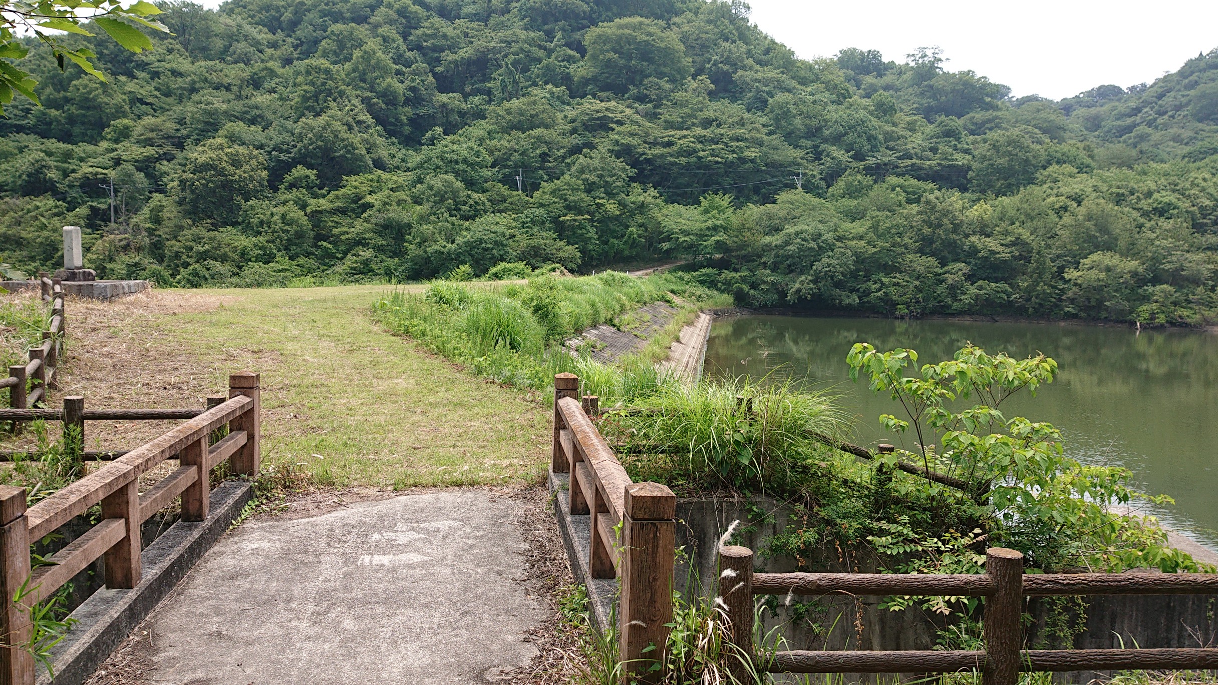 ふれ愛ランドから福山sa 19 06 19 井上ｋさんの大谷山 広島県福山市 の活動データ Yamap ヤマップ