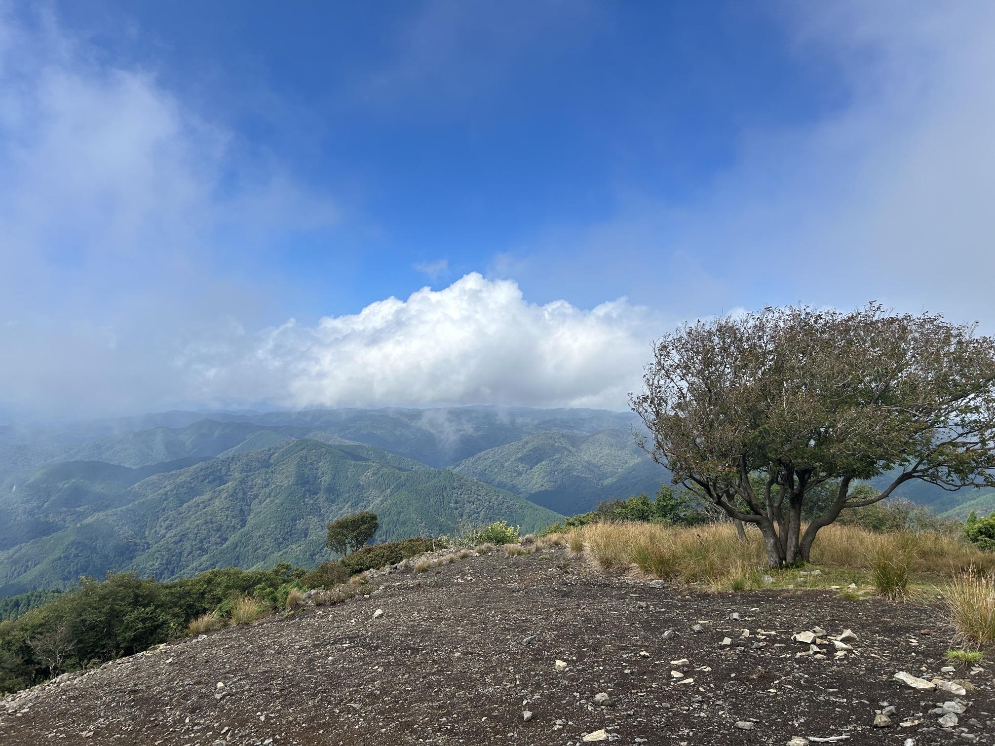 蓬萊山 蓬莱山の最新登山情報 / 人気の登山ルート、写真、天気など
