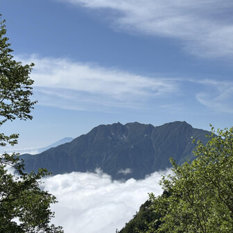 鳳凰