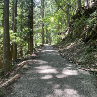 まぁまぁな斜度のある坂道。はじめからまぁまぁキツい。