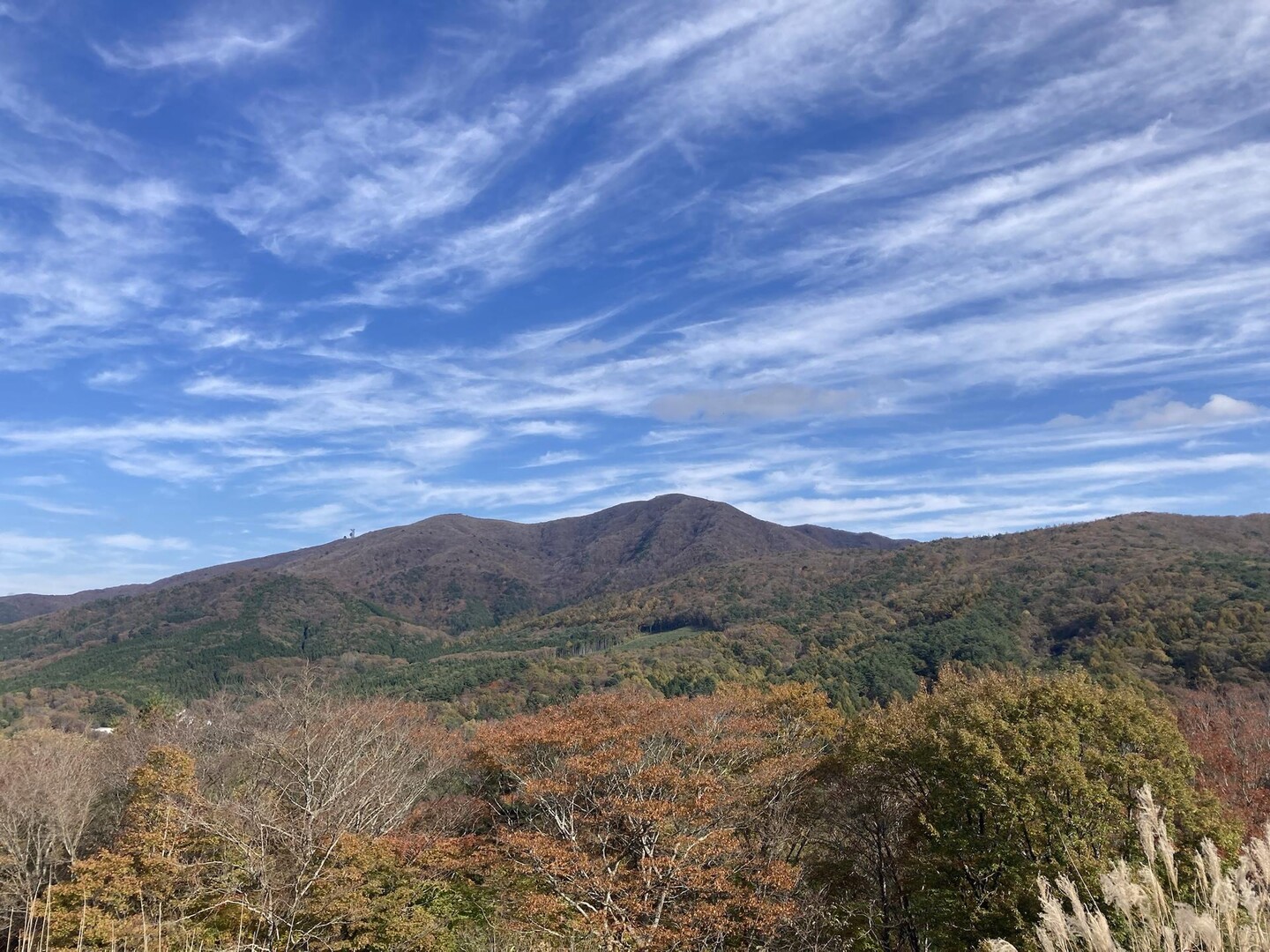 阿武隈最高峰 大滝根山へ / 山犬さんの大滝根山の活動データ | YAMAP / ヤマップ