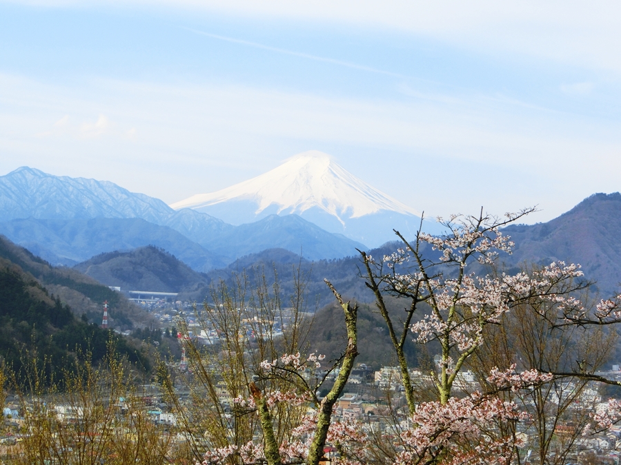 桜まつり最終日の岩殿山とむすびやまのカタクリと猿橋観光 アキラ 1 Yさんの雁ヶ腹摺山 岩殿山の活動データ Yamap ヤマップ