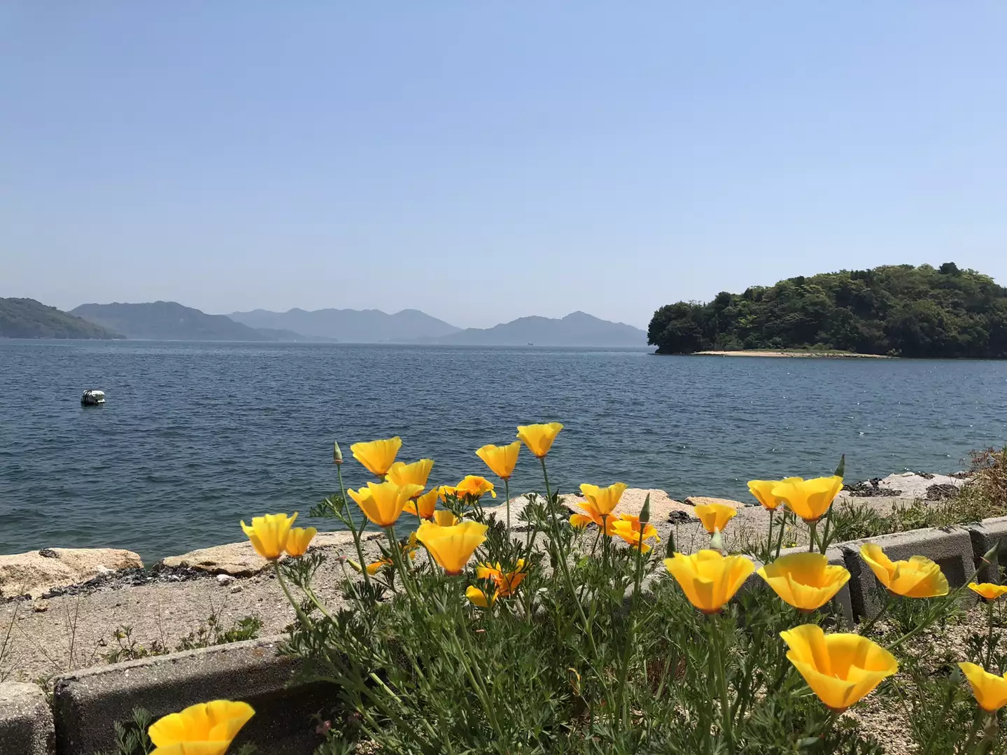 しまなみ海道 因島から向島 2019 05 04 ゆうちゃんさんの青景山 城山 奥山 観音山 の活動日記 yamap ヤマップ
